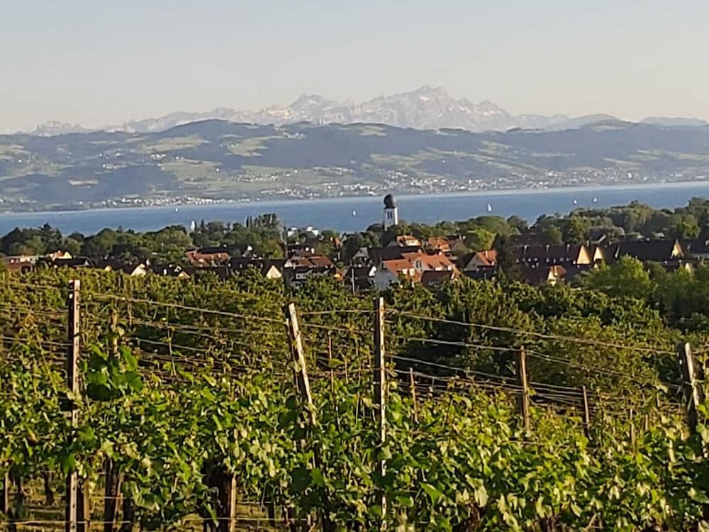 Winery