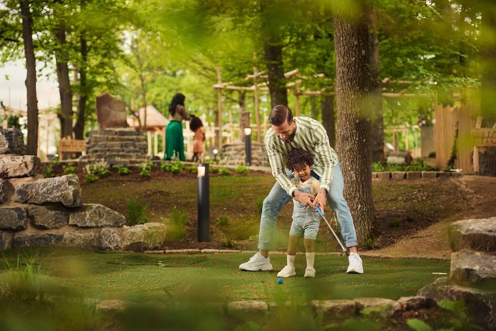 Mini-golf