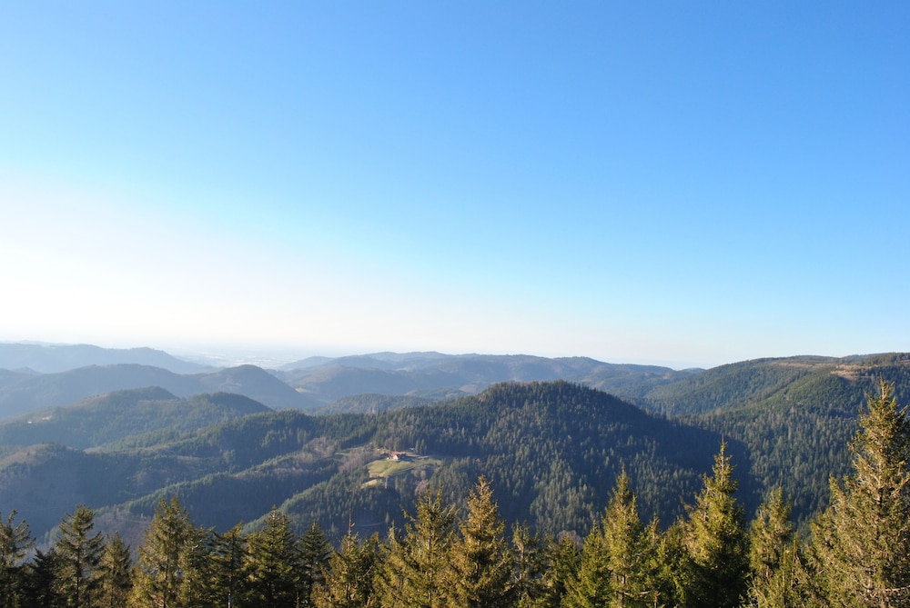 Hiking
