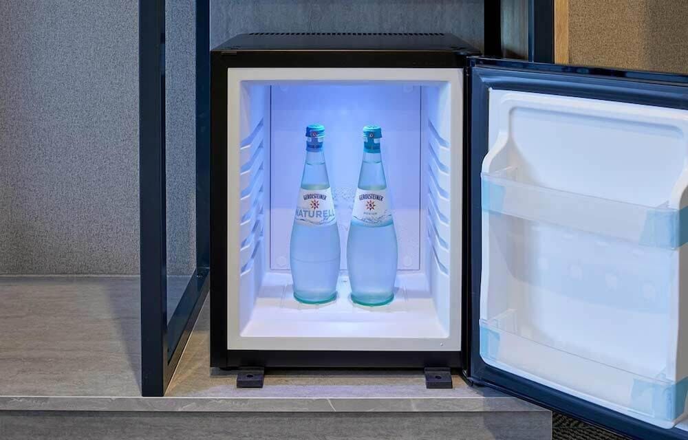 Mini-refrigerator