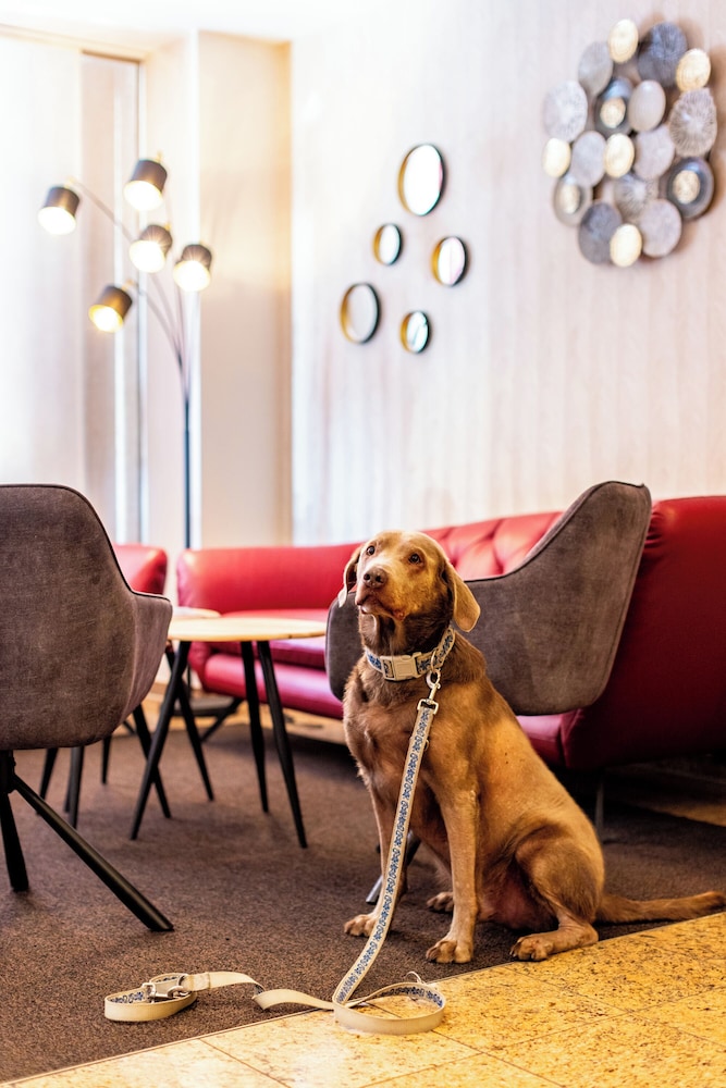 Pet-friendly