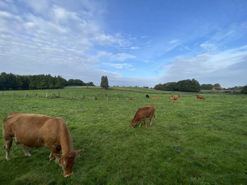 Land view from property