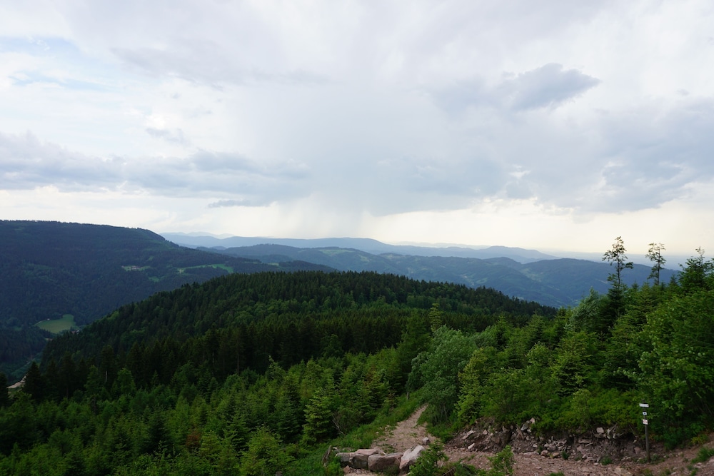 Hiking
