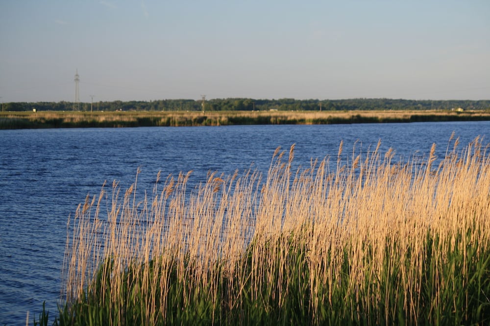 Land view from property