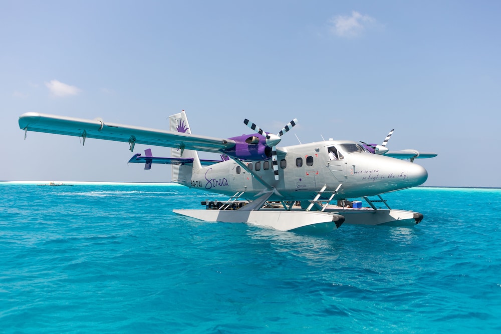Helicopter/plane tours