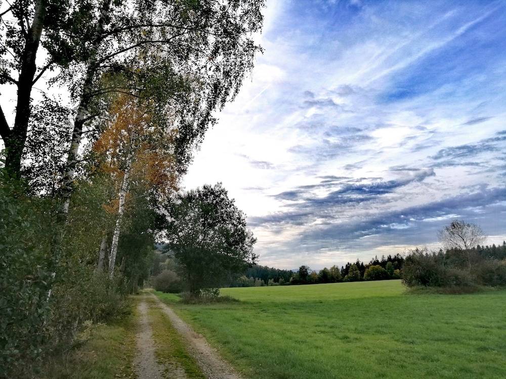Land view from property