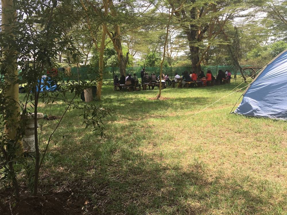 BBQ/picnic area