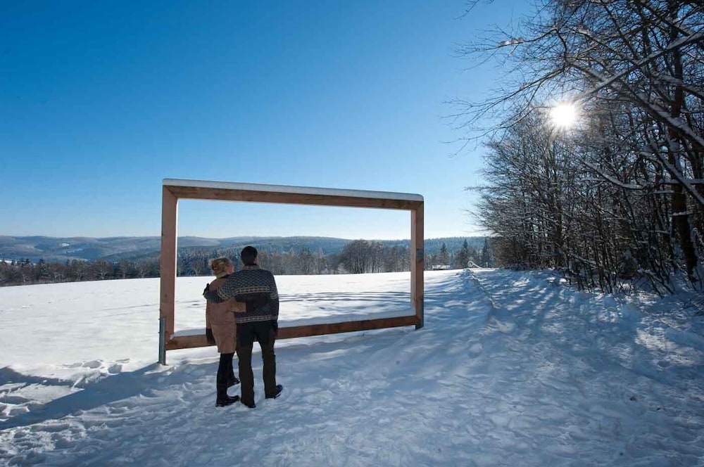 Snowshoeing