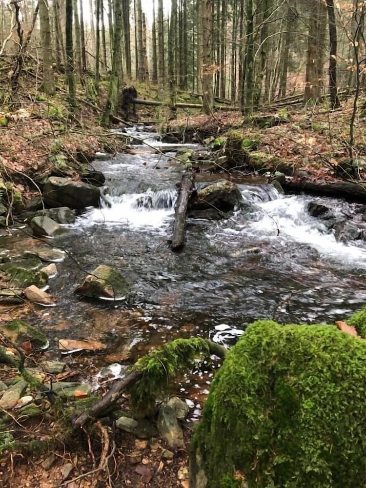 Hiking