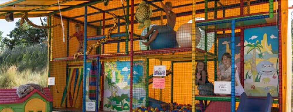 Children's activities