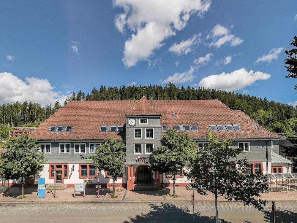 Primary image