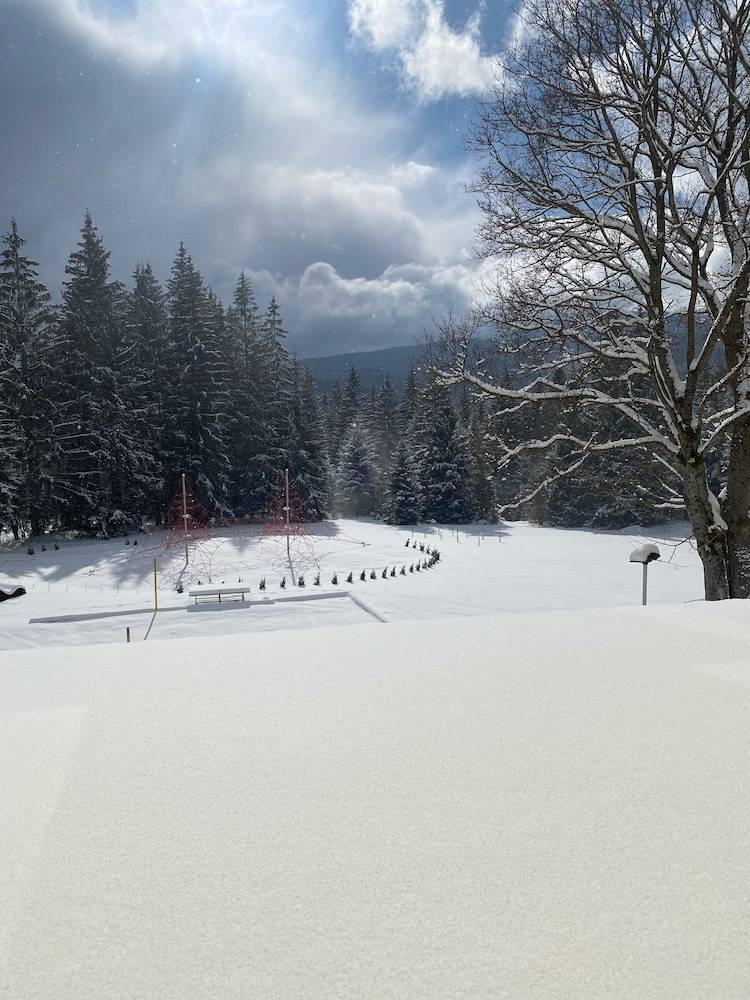 Snowboarding