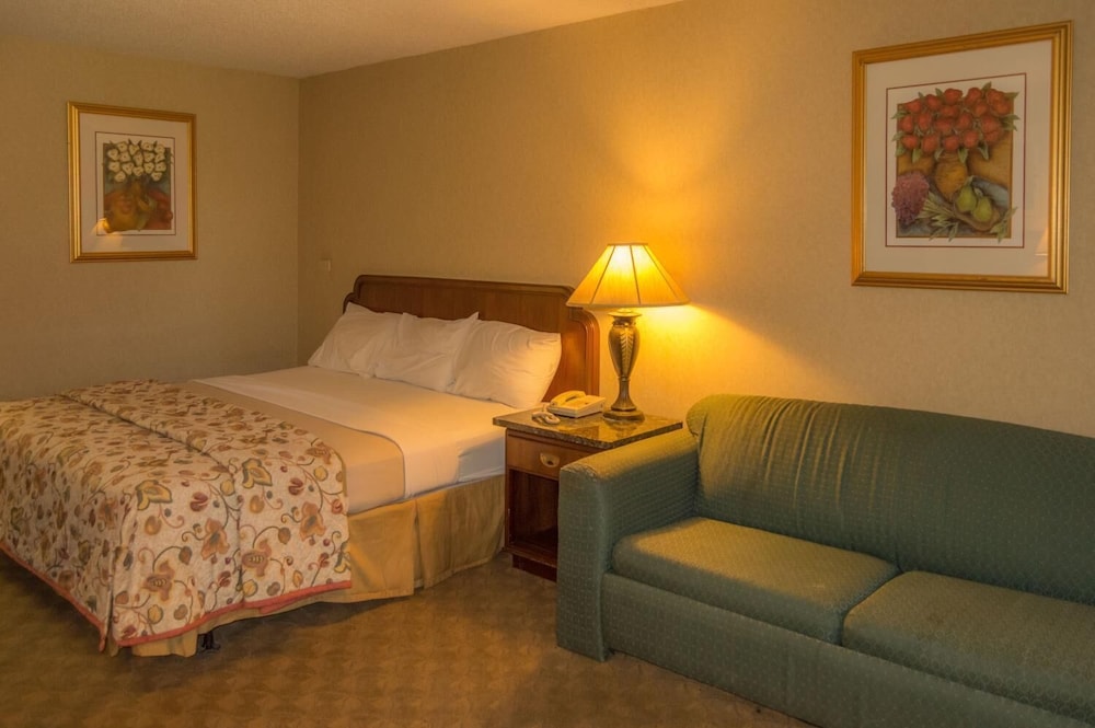 Executive Inn Hotel & Conference Centre - photo 5