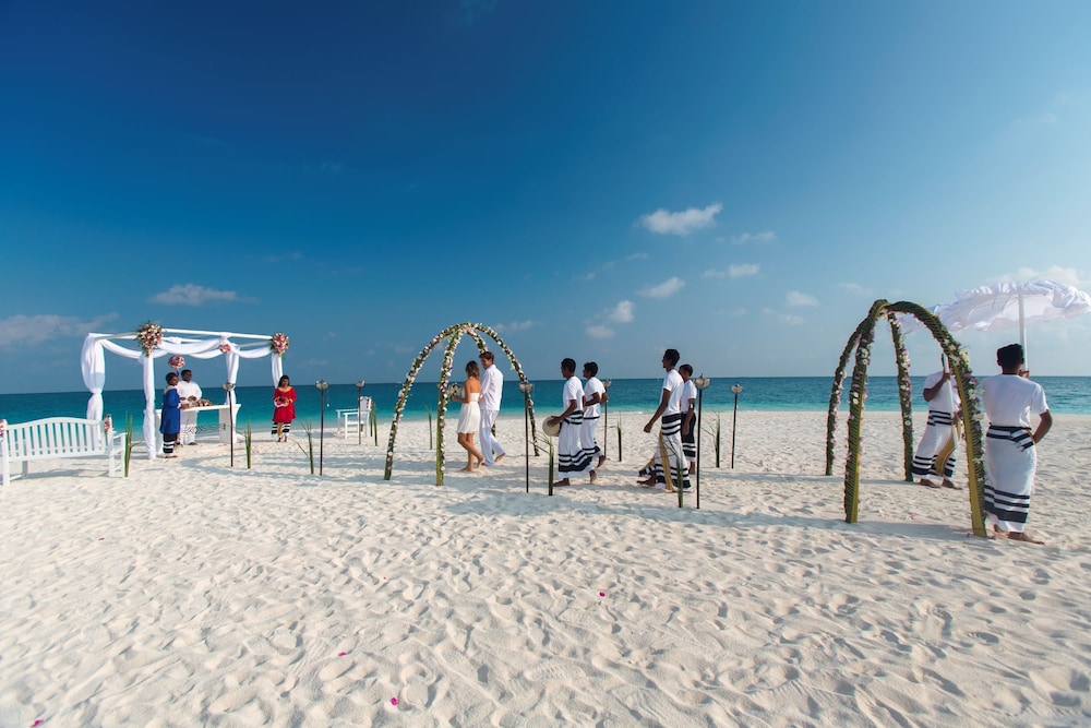 Outdoor wedding area