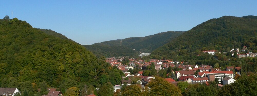 View from Hotel