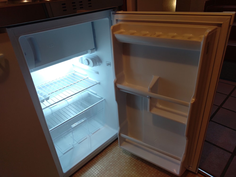 Mini-refrigerator