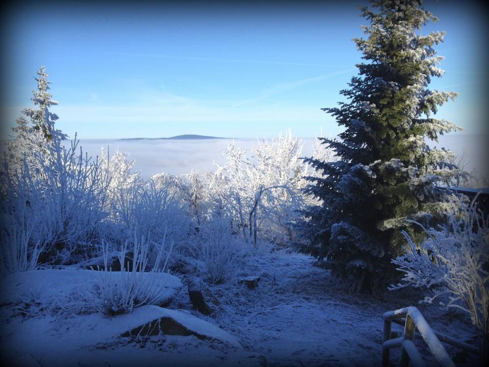 Snowshoeing