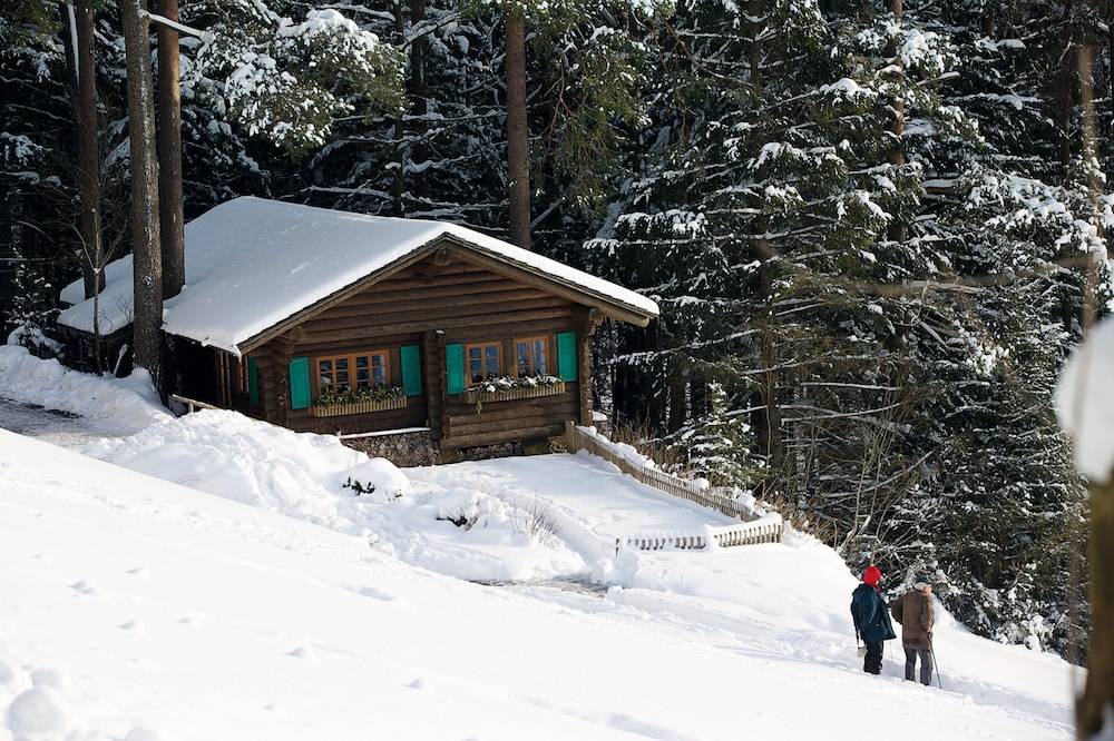 Snowshoeing