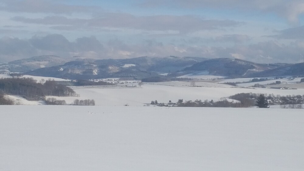 Snowshoeing