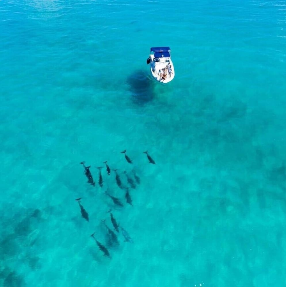 Fishing