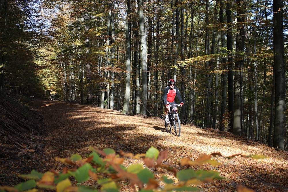 Bicycling