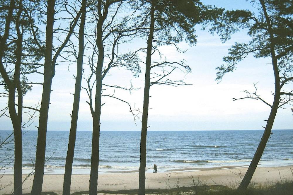 Water view