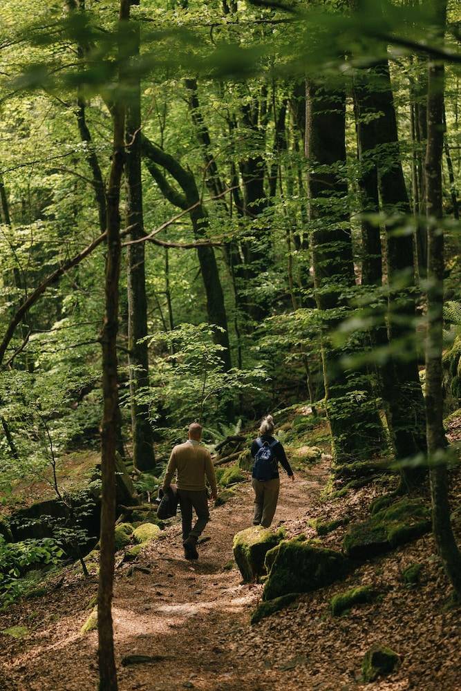 Hiking