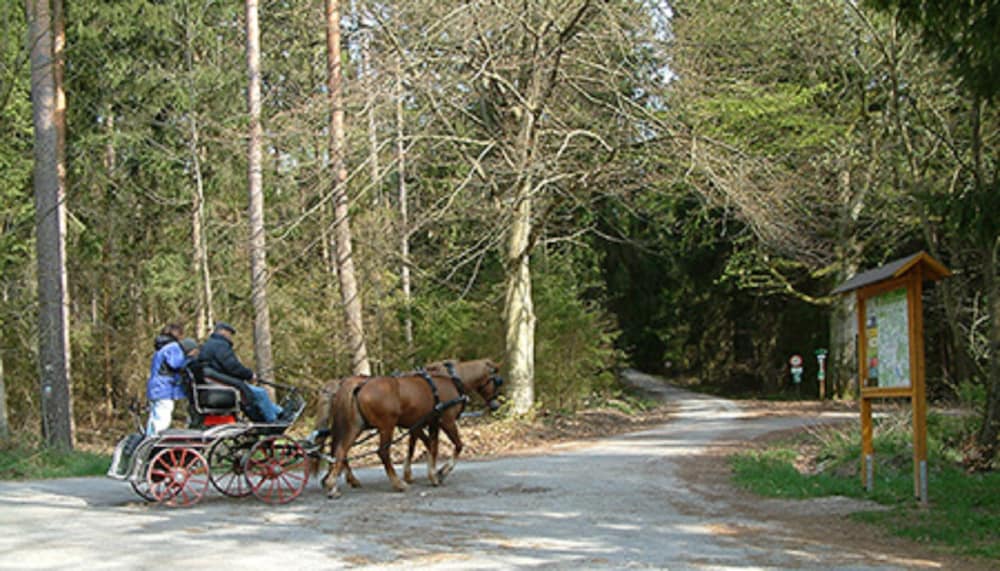 Ecotours
