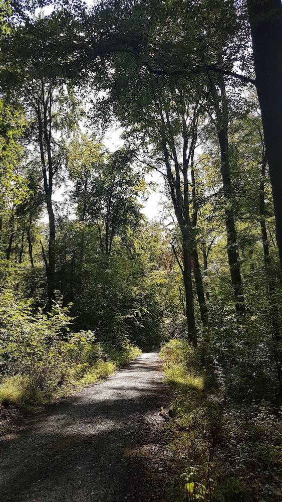 Hiking