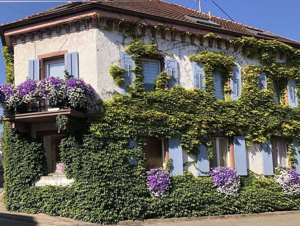 Vineyard Retreat Oberrotweil
