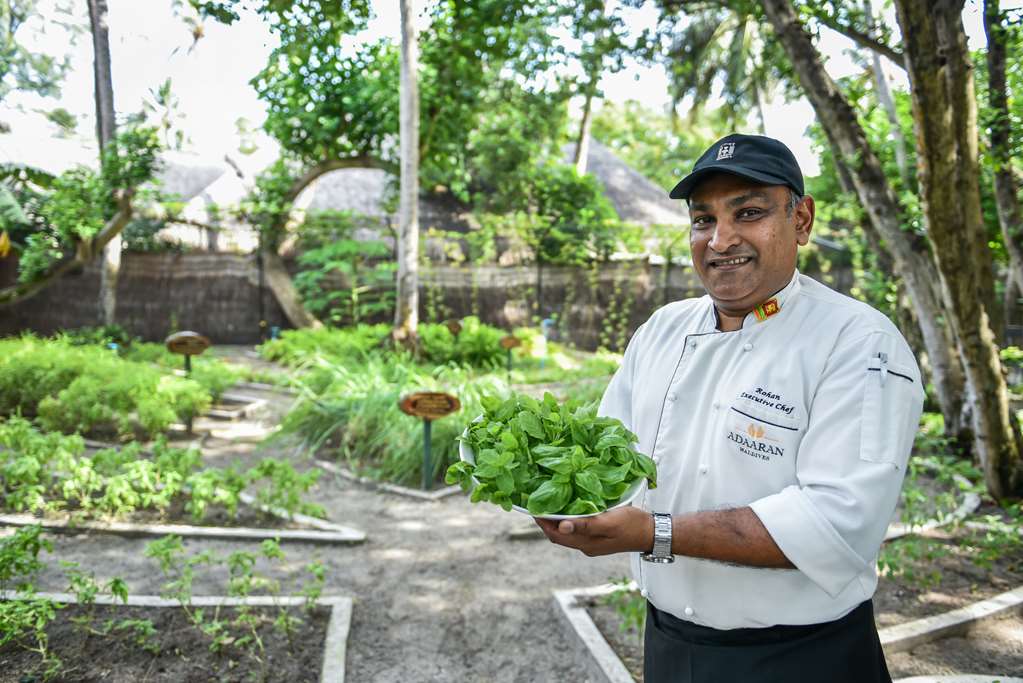 Organic Garden at Rannalhi