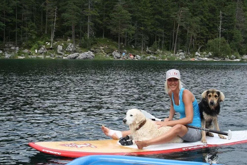 Pet-friendly