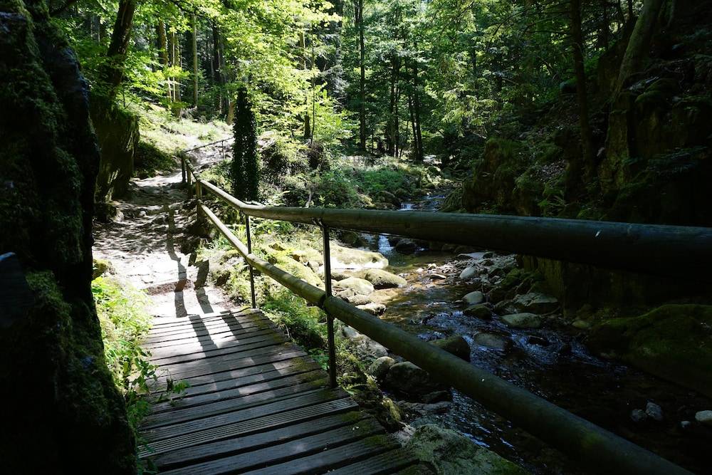 Hiking