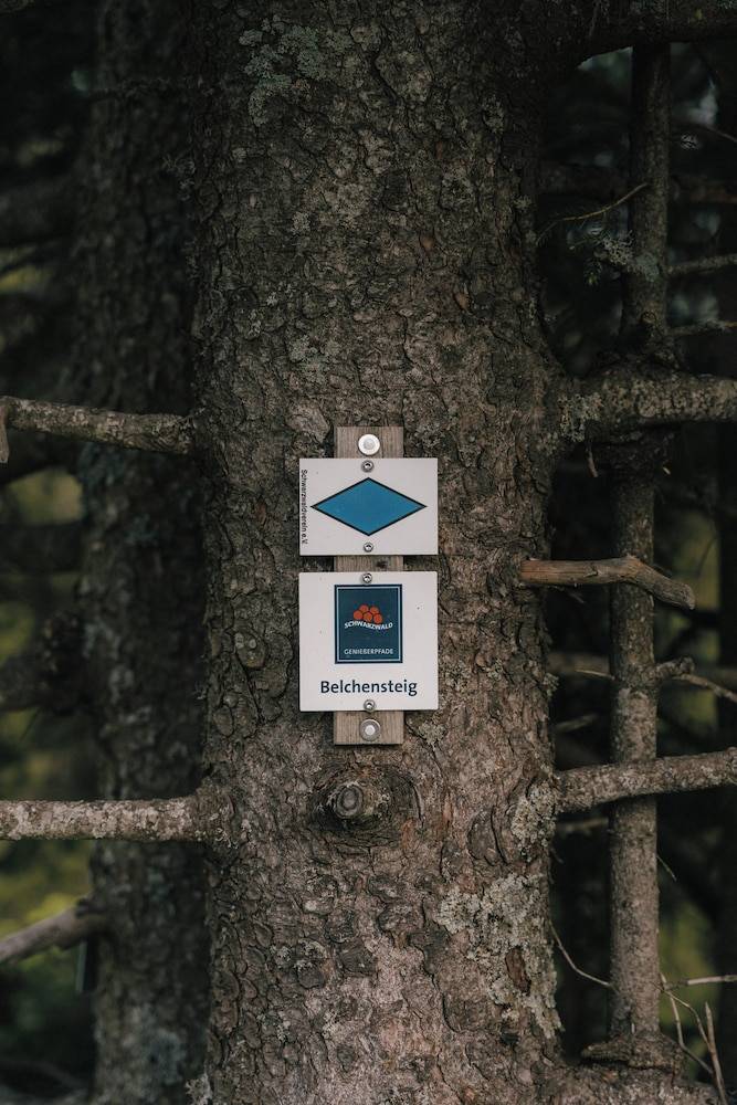Hiking