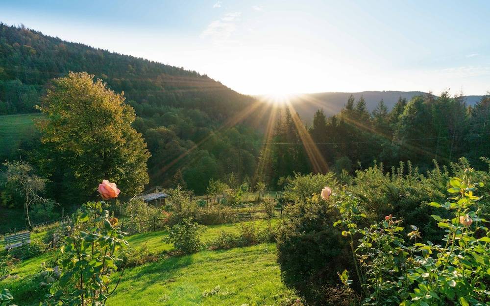 Garden view