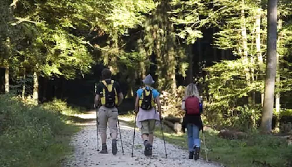 Hiking