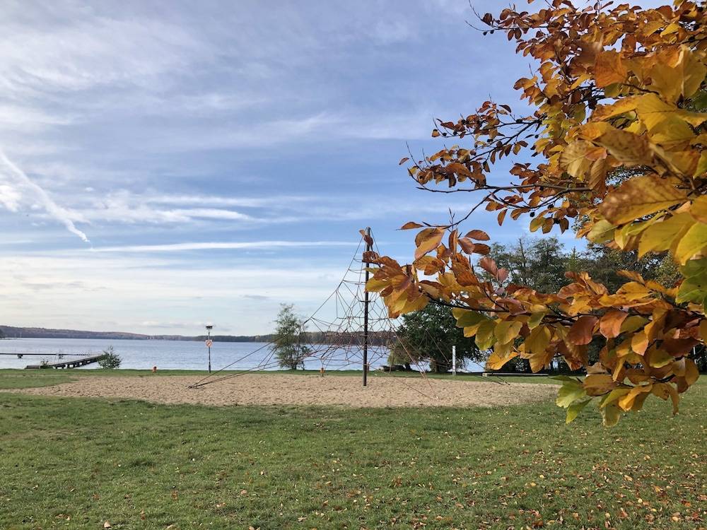 Lake view