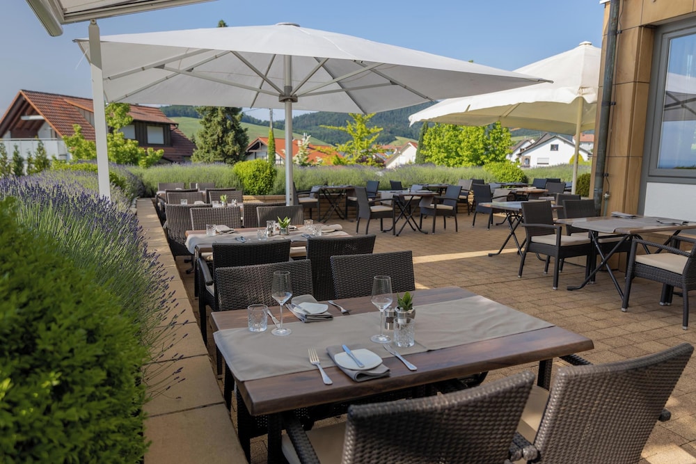 Sundeck