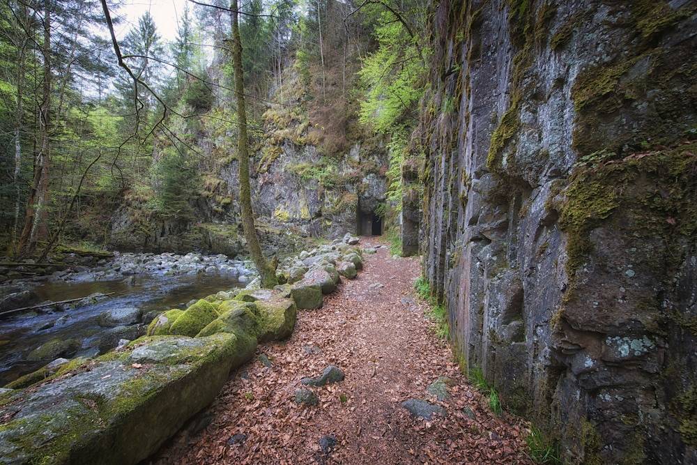 Hiking