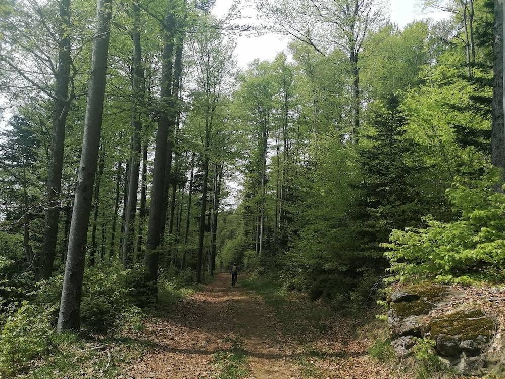 Land view from property