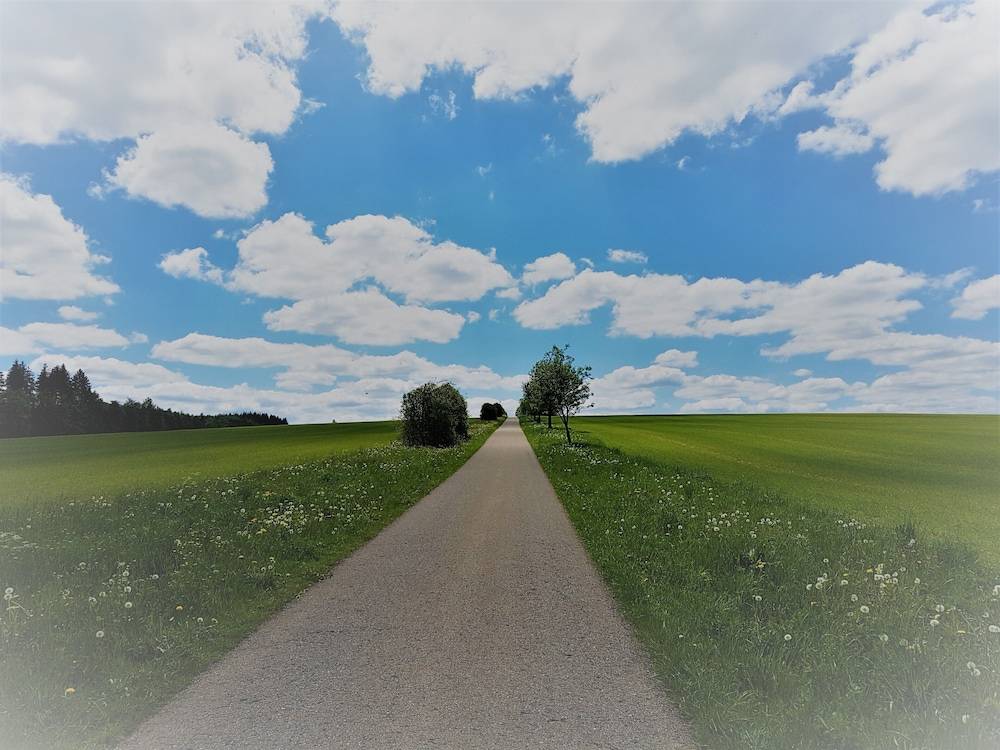 Land view from property