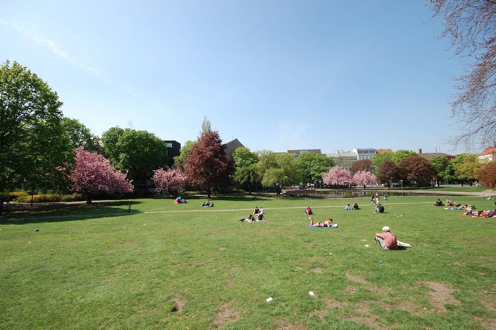 Park view