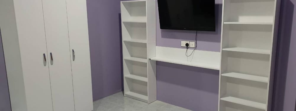 Television
