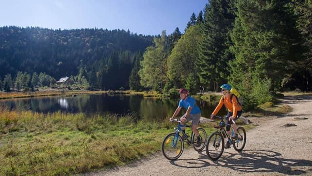 Bicycling
