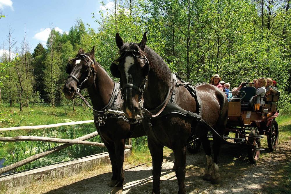 Ecotours