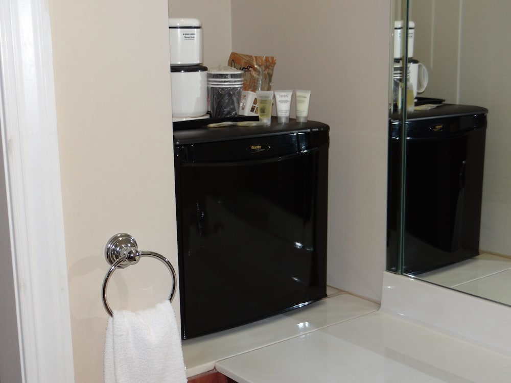 Mini-refrigerator