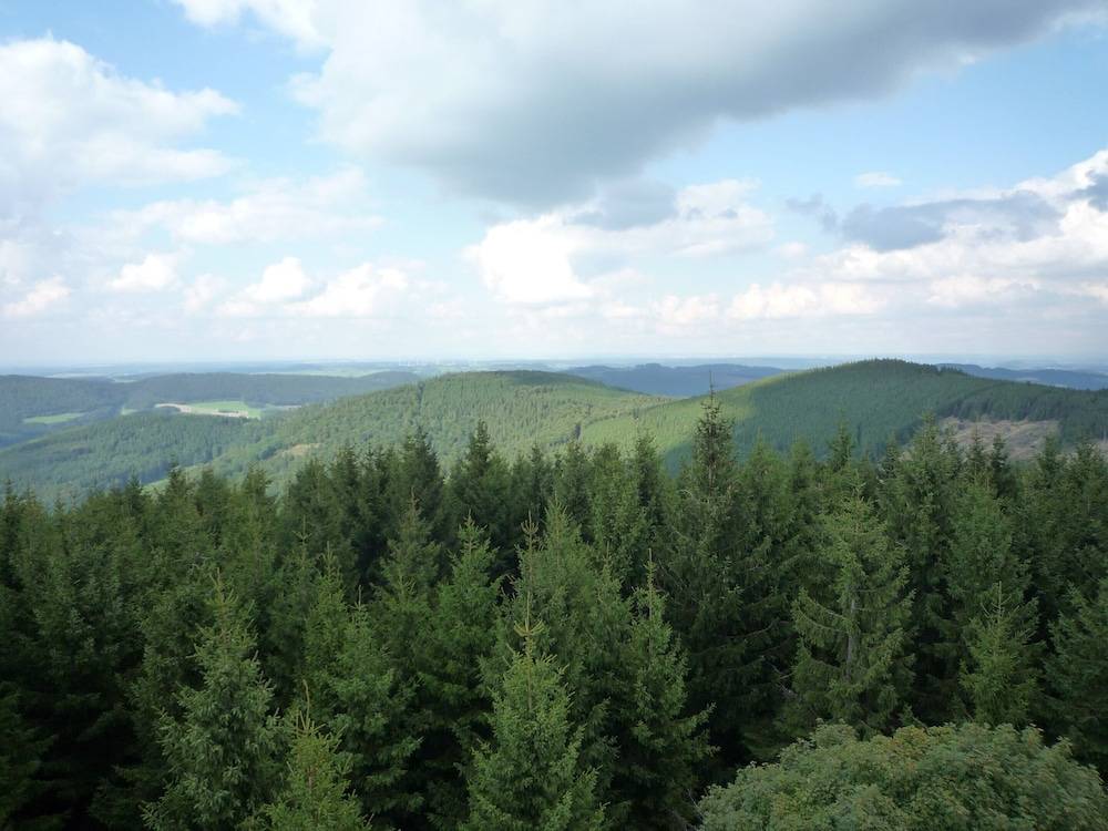 View from property