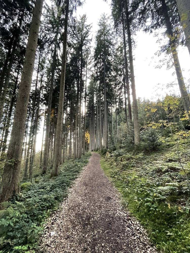 Hiking