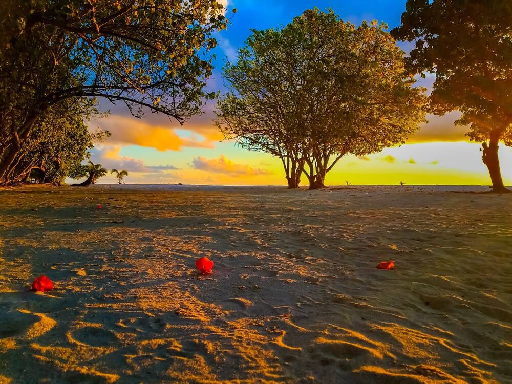 Beach