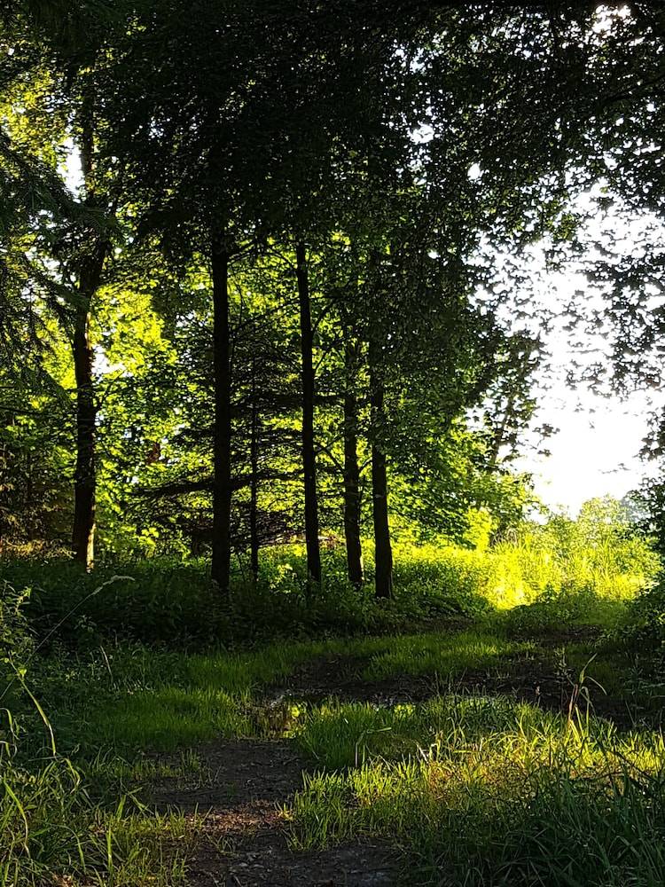 Hiking